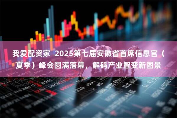 我爱配资家  2025第七届安徽省首席信息官（夏季）峰会圆满落幕，解码产业智变新图景