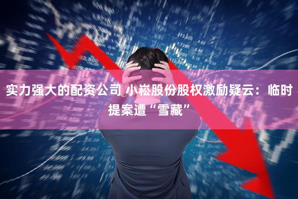 实力强大的配资公司 小崧股份股权激励疑云：临时提案遭“雪藏”